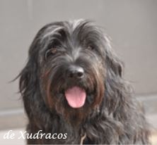 Bild laden Comba de Xudracos 1.JPG
